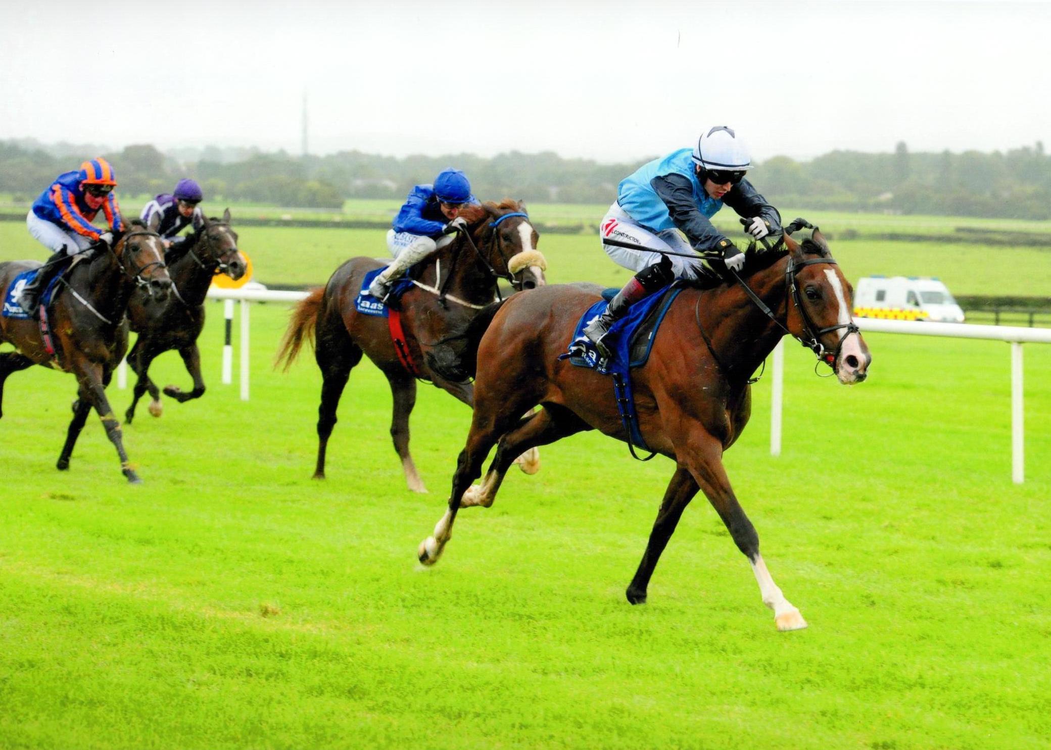 TERRITORY wins his madien first time out to give owners a local win at Naas 21st September 2016